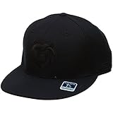 Reebok Memphis Grizzlies Fitted Hat Mens