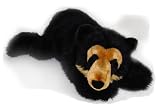 Plush Soft Toy Floppy Spectacle Bear. 43cm. Reviews