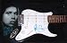PAUL SIMON Autographed CUSTOM AIRBRUSHED Guitar