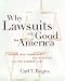 Why Lawsuits are Good for America: Disciplined Democracy, Big Business, and the Common Law (Critical America)