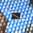 White Ladder