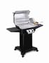 Ducane 2005 16002201 864 Square Inch 2-Burner Propane Gas Grill with Side Burner and Black Base