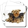 Yorkshire Terrier Dogs Leather Coasters Gift Set, Ref:AD-Y3C