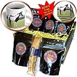 Horse - Paint Horse - Coffee Gift Baskets - Coffee Gift Basket