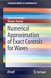 Numerical approximation of exact controls for waves