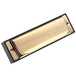 SWAN Cygne Harmonica diatonique 10 trous Blues Harp Bouche cles d