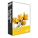 Basic Algebra Shape-Up sets 1 & 2 ( Grades 6 through 9 ): Home Version