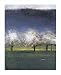 Blossoming Trees by Seth Winegar poster print,13 in. x 16 in. Image