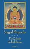 Die Zukunft des Buddhismus - Sogyal Rinpoche