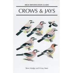 Crows and Jays: A Guide to the Crows, Jays and Magpies of the World (Helm Identification Guides)