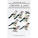 Crows and Jays: A Guide to the Crows, Jays and Magpies of the World (Helm Identification Guides)