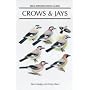 Crows and Jays: A Guide to the Crows, Jays and Magpies of the World (Helm Identification Guides)
