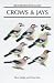 Crows and Jays: A Guide to the Crows, Jays and Magpies of the World (Helm Identification Guides)