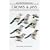Crows and Jays: A Guide to the Crows, Jays and Magpies of the World (Helm Identification Guides)
