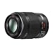 Panasonic Lumix G X Vario PZ 45-175mm Tele-PowerZoom-Objektiv mit Motor-Zoom