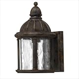 Capitol 12.5 x 7 Dark Sky Outdoor Wall Lantern in Forum Bronze