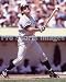 Carlton Fisk Chicago White Sox 8x10 Photo