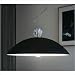 Tulip Pendant Shade Color: Black