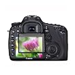 Protection d'�cran GGS professional pour Canon 7D - antireflets