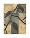 Tortoise Shell II - Chariklia Zarris Art Print Poster 24 x 30