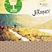 Seeds Family Worship - The Journey, Vol. 9