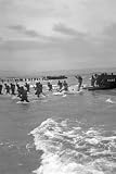 New 4x6 Photo: 'Sea Horses' Land in N. African Beach