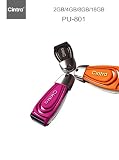 Mini Usb Flash Drive Pu801 4g