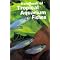 So You Want to Know About Tropical Fish Aquariums