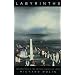 Labyrinths: Explorations in the Critical History of Ideas (Critical Perspectives on Modern Culture)