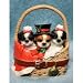 golden_retriever12golden retriever - Holiday AKC Shih Tzus Tzu in Basket Christmas