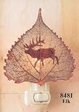 Elk Silhouette on Real Cottonwood Leaf Iridescent Night Light
