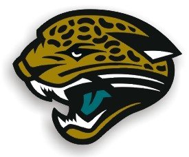 Jacksonville Jaguars 12