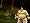 World of Warcraft (Mac/PC)
