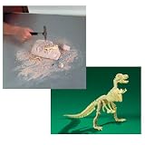 Diggin Up Dinosaurs - T-Rex