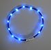 LED Pet Dog Collar,Pashion USB Rechargeable LED Light-Up Safety Neck Loop One Size Fits All Waterproof Night Safety Pet Dog Collar (Blue)