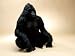 Hansa Zimbabwe Gorilla Stuffed Plush Animal, Sitting