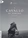 Il Cavallo Di Torino