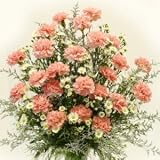 Glorious Pink Carnation Bouquet