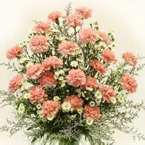 Glorious Pink Carnation Bouquet