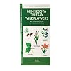 Minnesota Trees & Wildflowers: An Introduction to Familiar Species (State Nature Guides)