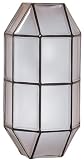 3045 Outdoor Lighting Wall Fixture in Black & Frost