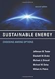 Sustainable Energy: Choosing Among Options