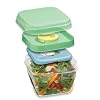 Fit & Fresh Salad Shaker