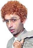 Adult Deluxe Dynomite Wig