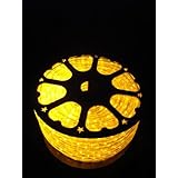 150Ft Rope Lights; Brilliant Amber LED Rope Light Kit; 1.0' LED Spacing; Christmas Lighting; outdoor rope lighting; Candle Flame Color