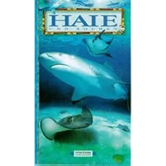 Haie und Rochen
