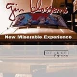 Gin Blossoms - New Miserable Experience