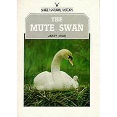 The Mute Swan