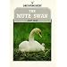 The Mute Swan (Shire Natural History)