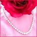 18K 6.5-7MM "AAA" (Akoya) Pearl Necklace Free Earrings